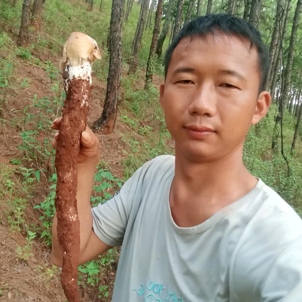 万花丛中过片叶不沾身