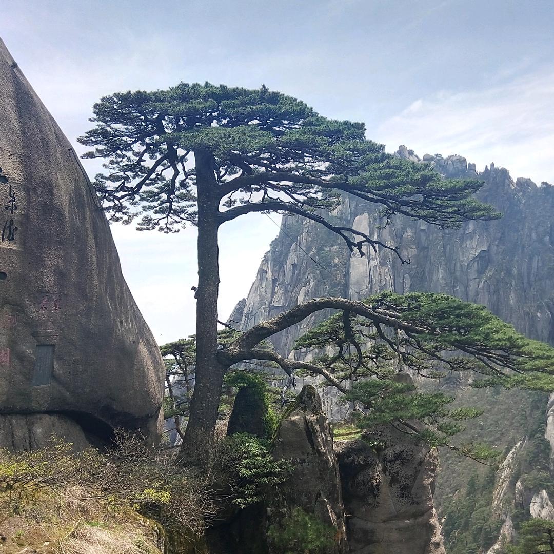 ཉིཾ།大龙།ཾཉྀ