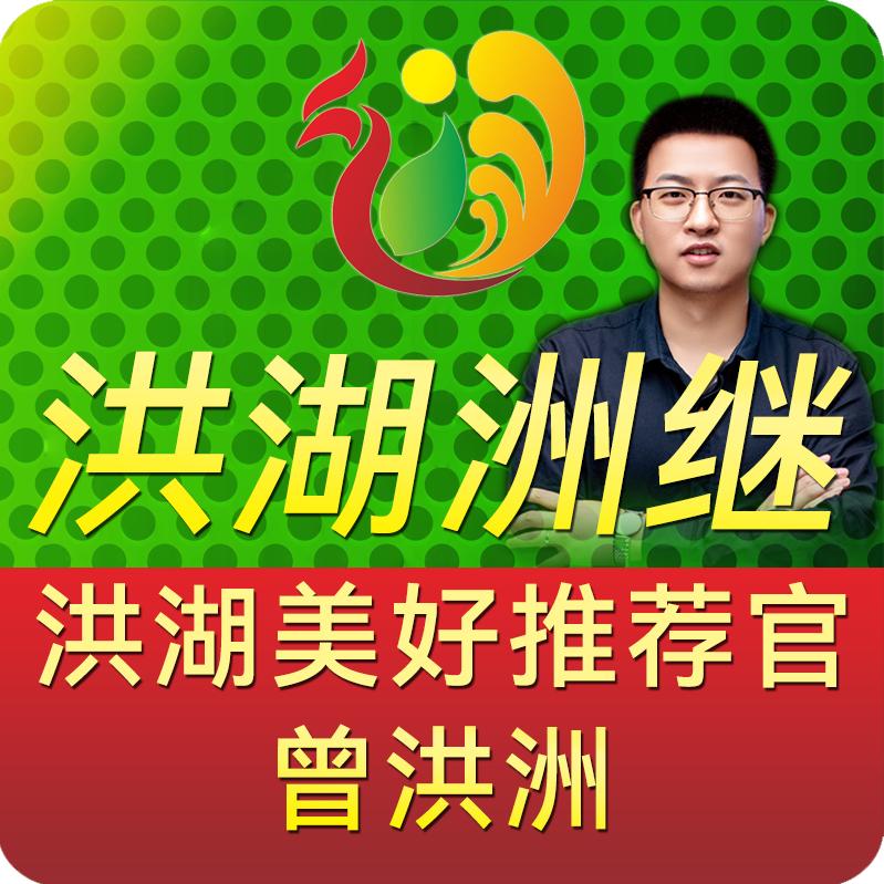 洪湖洲继
