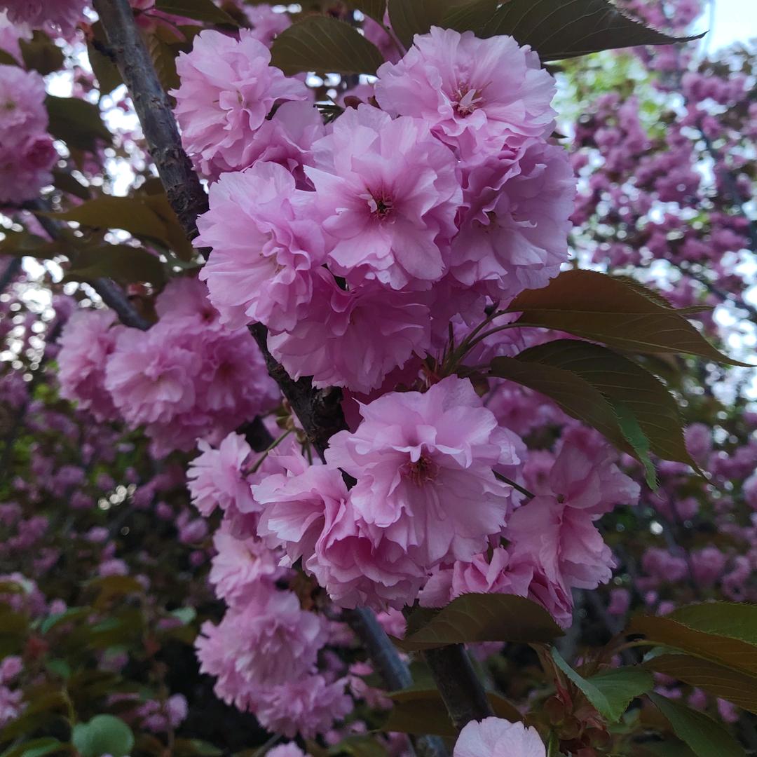 德行天下