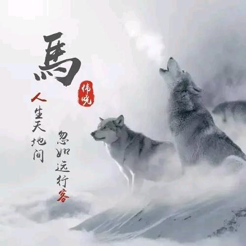 殇