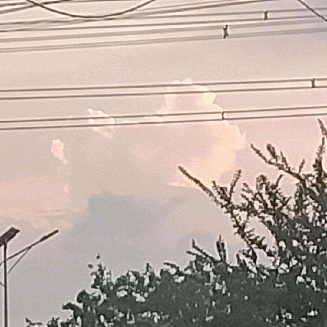 自由飞翔🌅