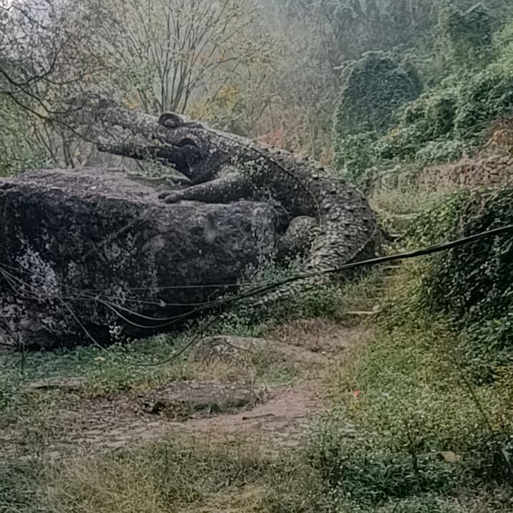 前方高能量