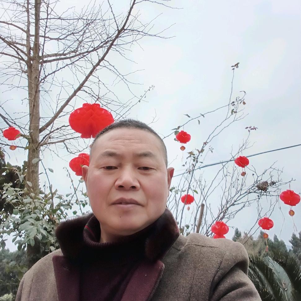 用户1543738917646