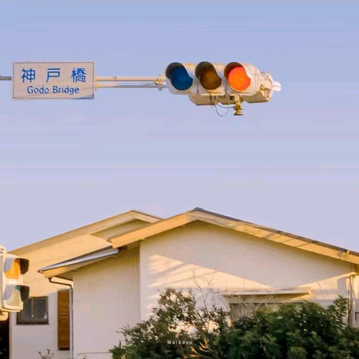 芝莲