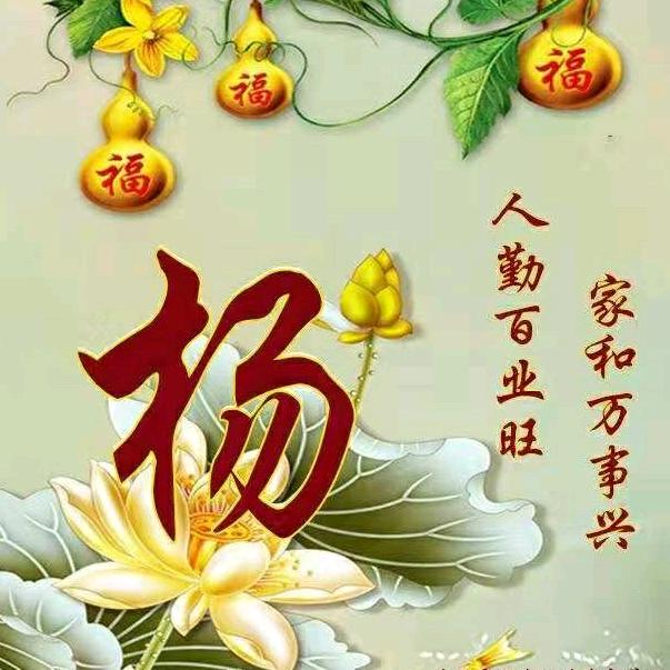 杨