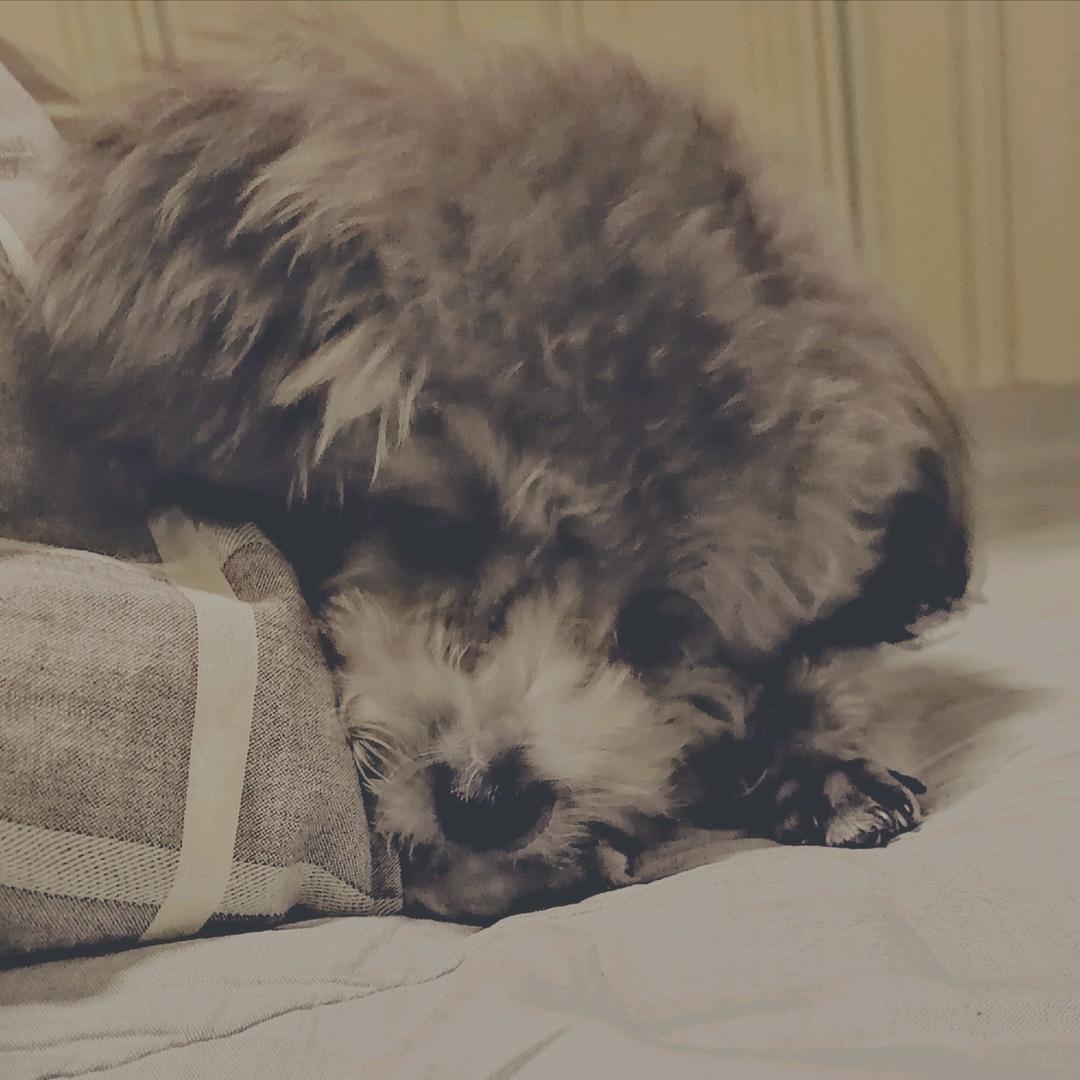 灯谜乱步