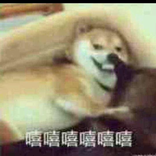 她皎月闻越香