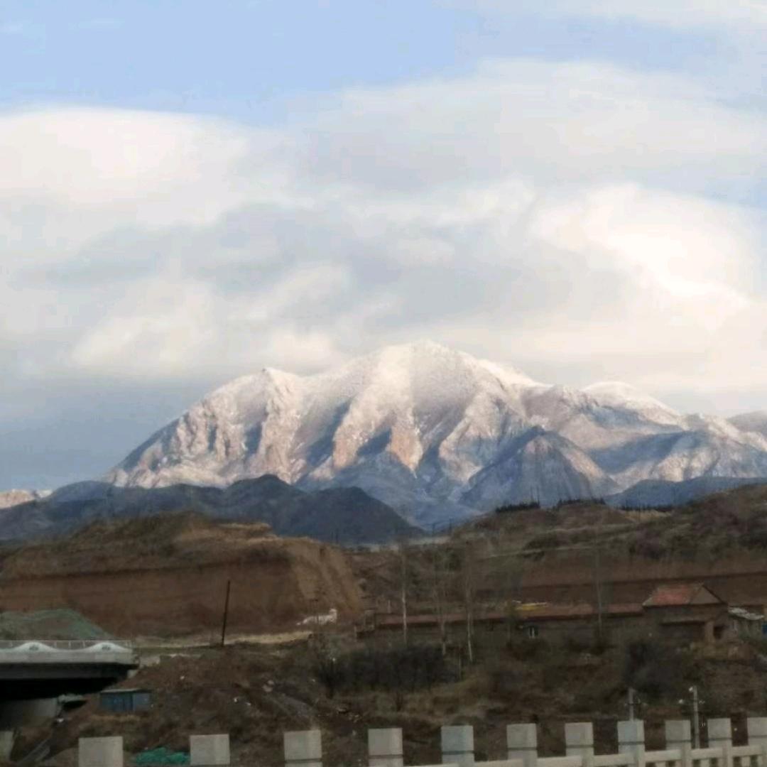 朱哥