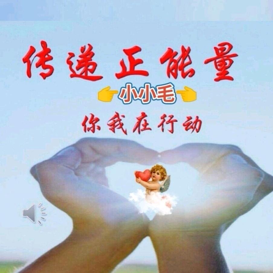 小小毛《传递正能量》