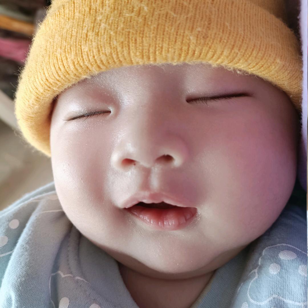 CHENGGANGDAISHU书包旗舰店