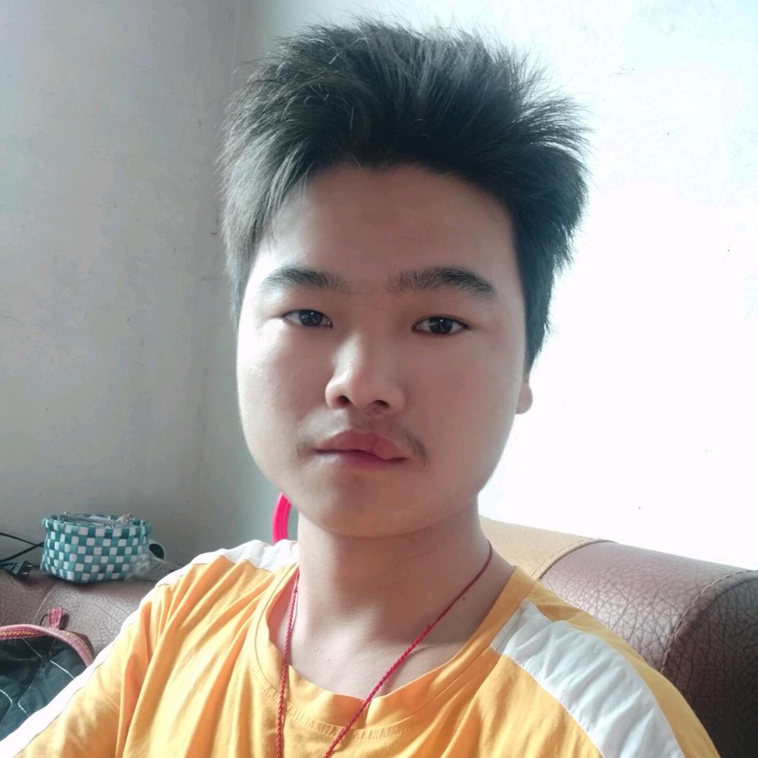 葬爱家族——忘了爱