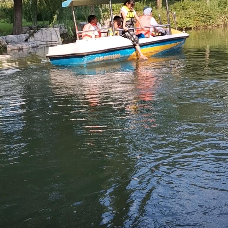 小海豚✔