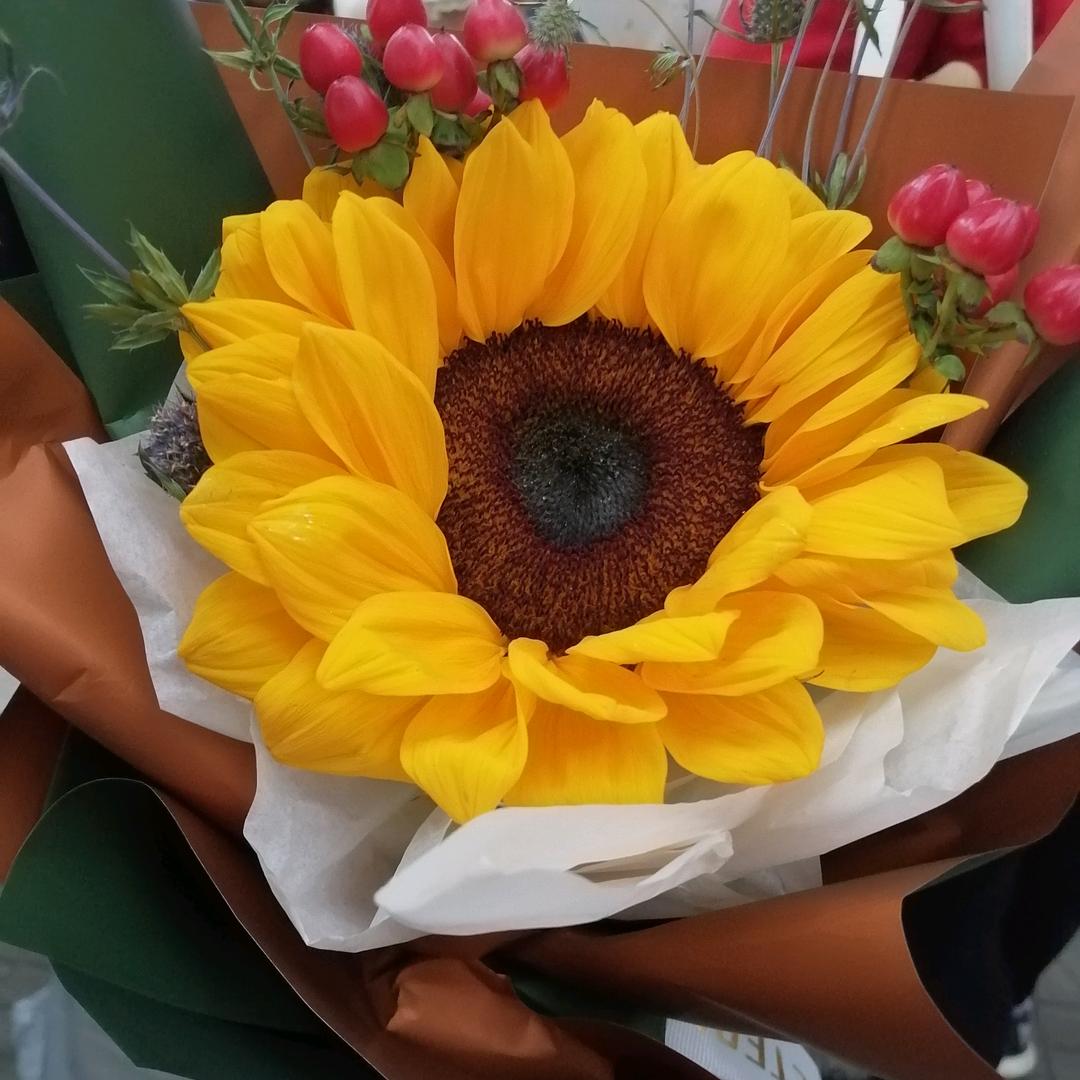 🕊꧔ꦿ᭄💞一起过周莫꧔ꦿ᭄💞?