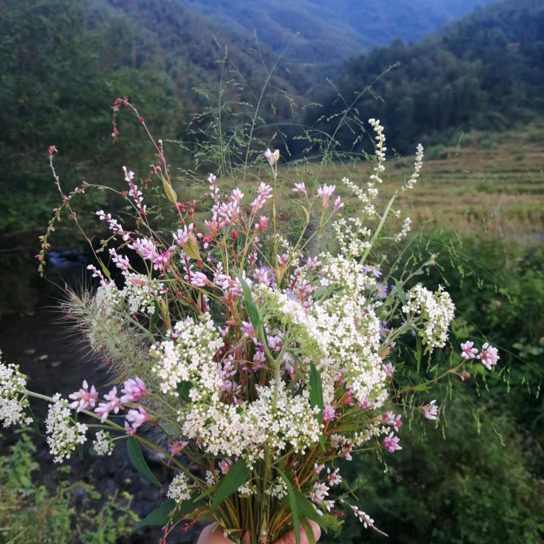 沉迷那修饰，美