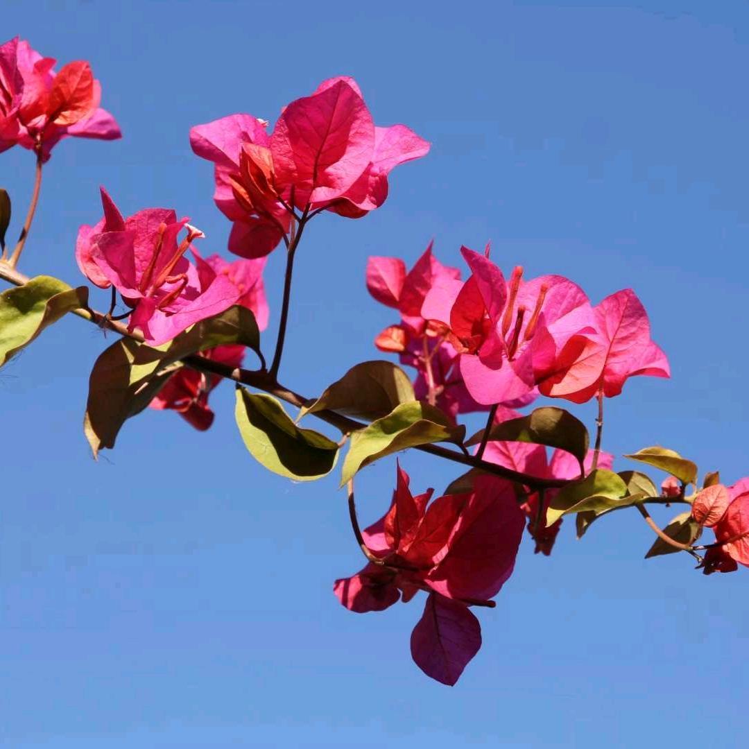 微😀(≧∇≦)/尘