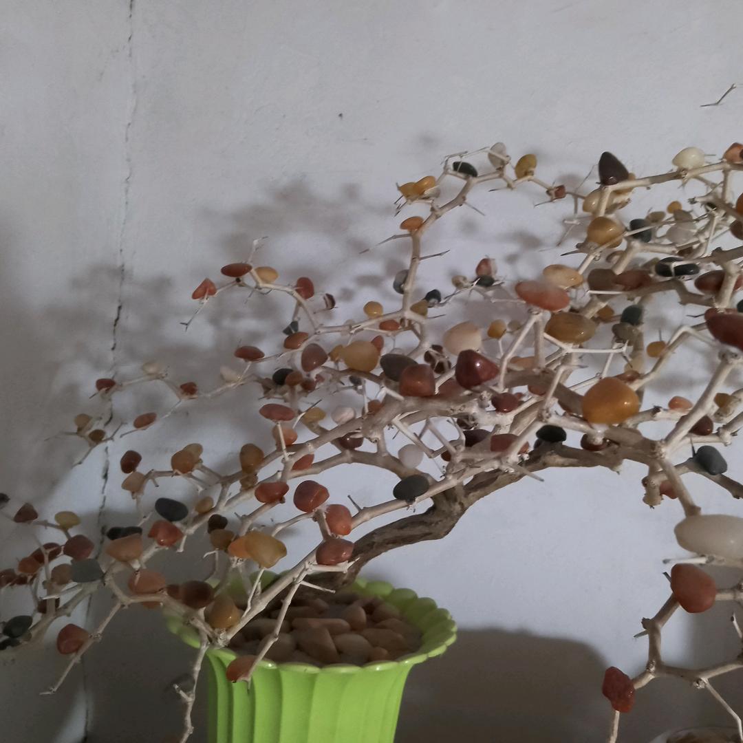 不要让今天的烦恼影响明天的好心情