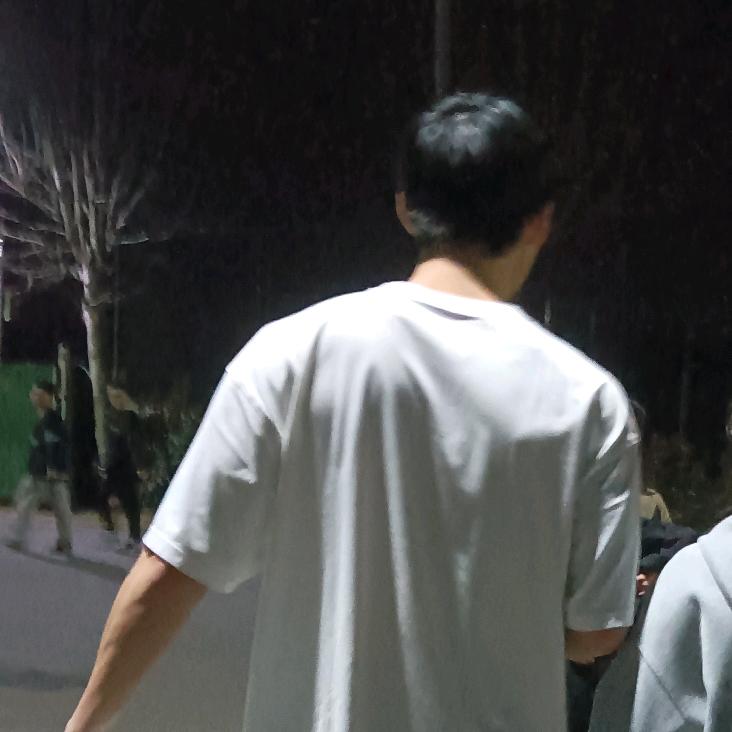 湖宸