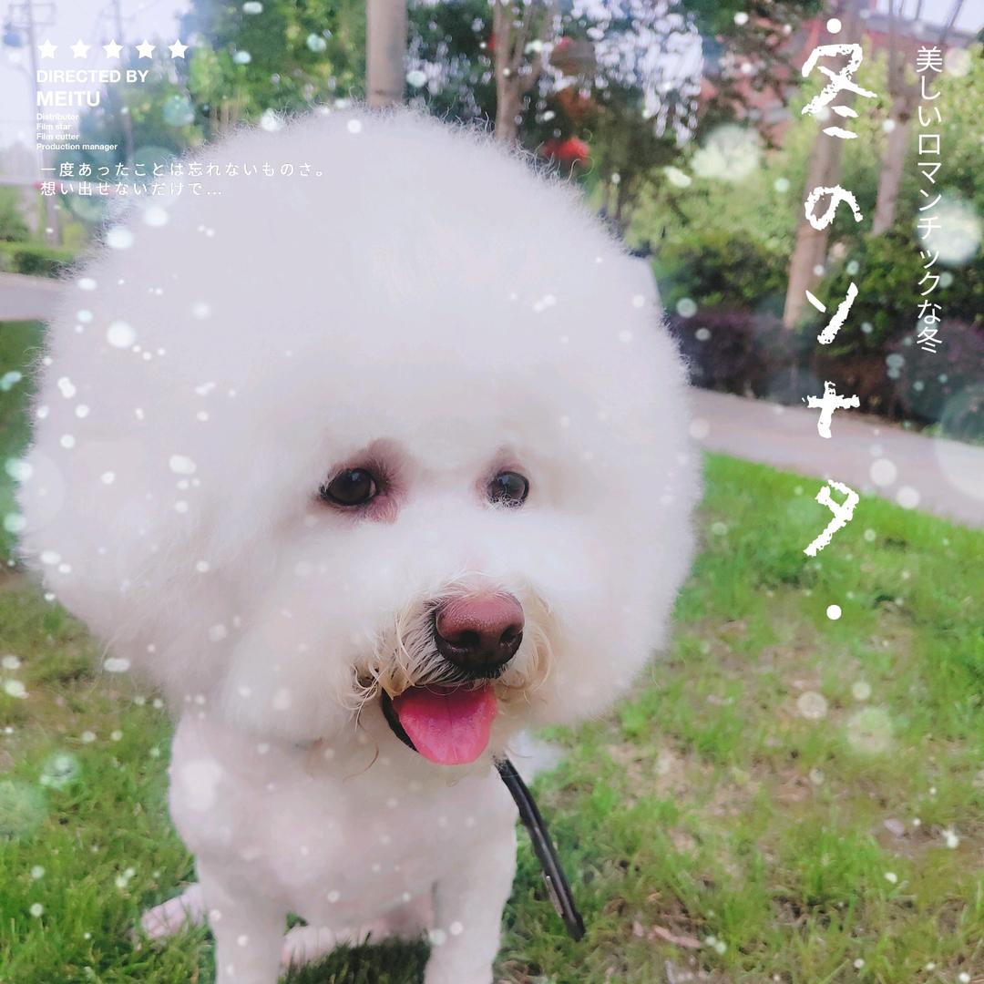 可爱是小肥婆😜😜😜