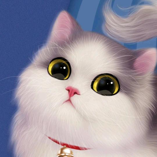 家，温馨的港湾