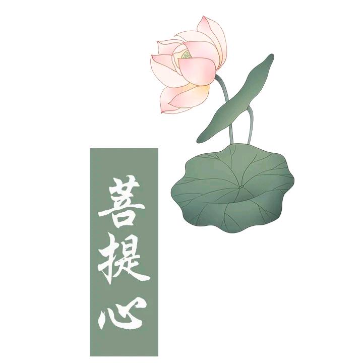 净善