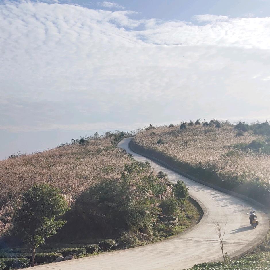 一切都是刚刚好