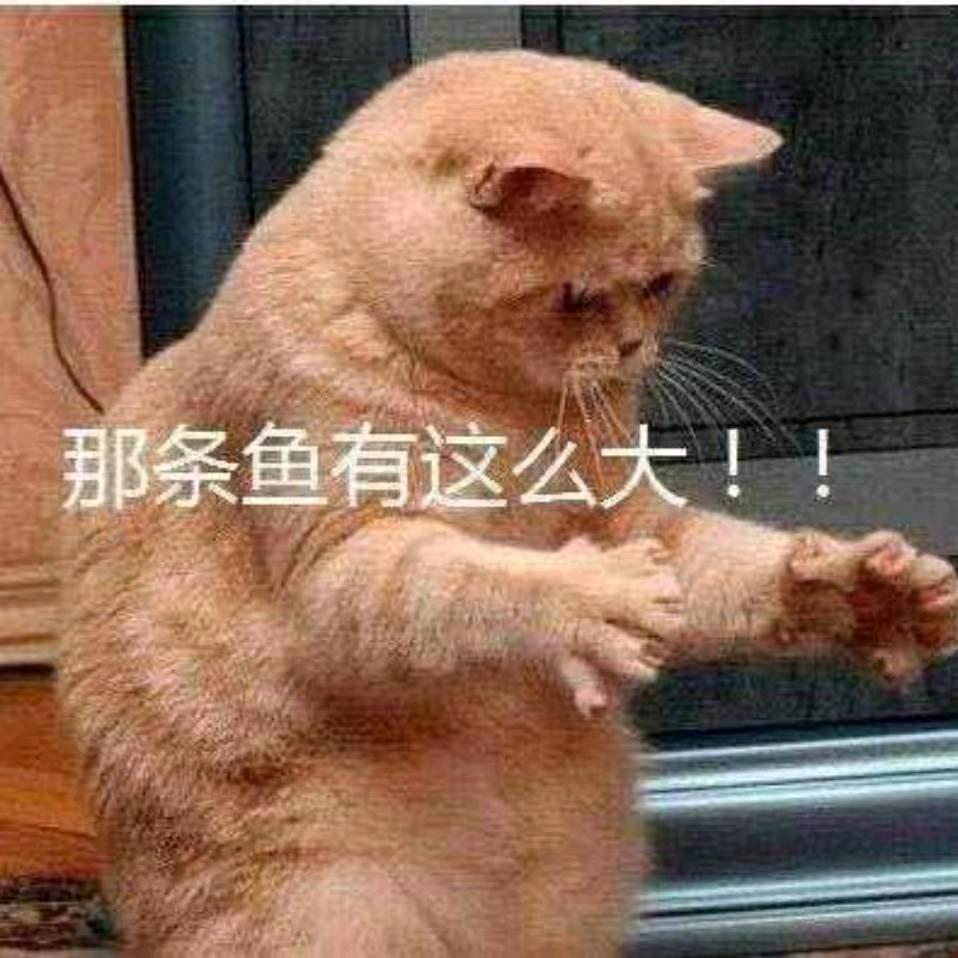 平凡的80后
