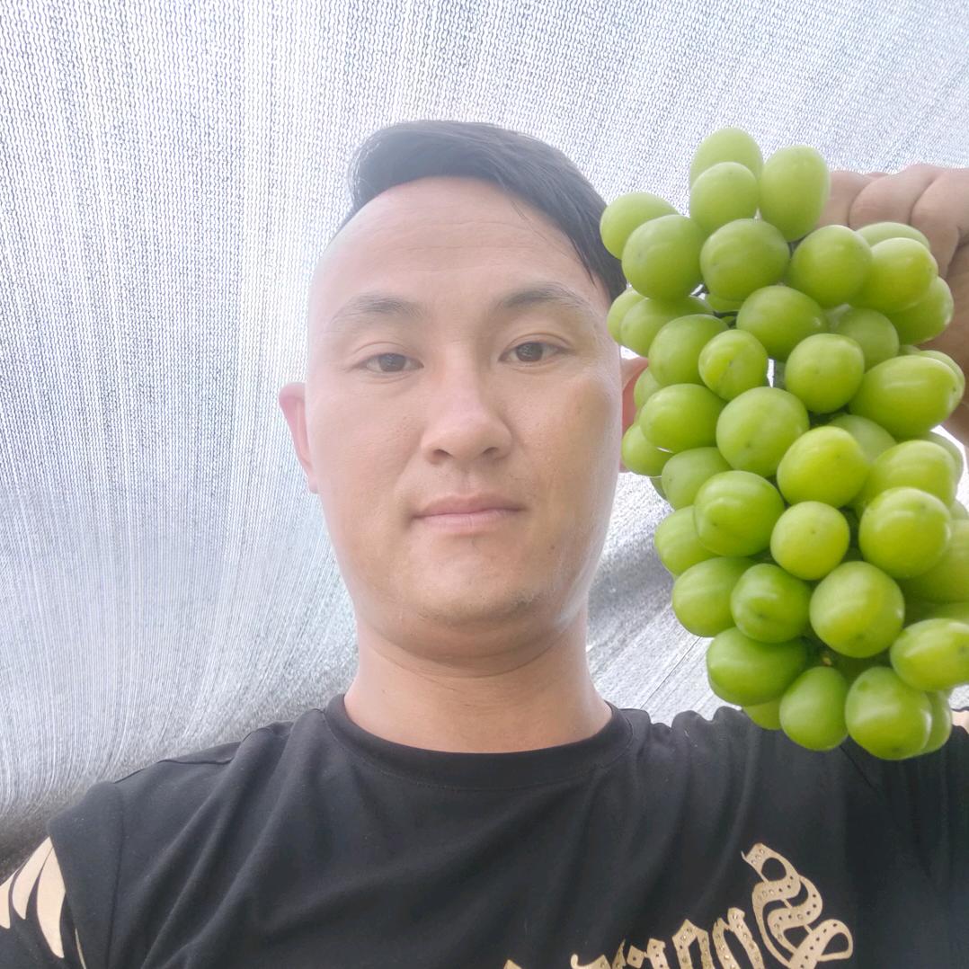 新沂..周晔葡萄，代收，修花，蔬果