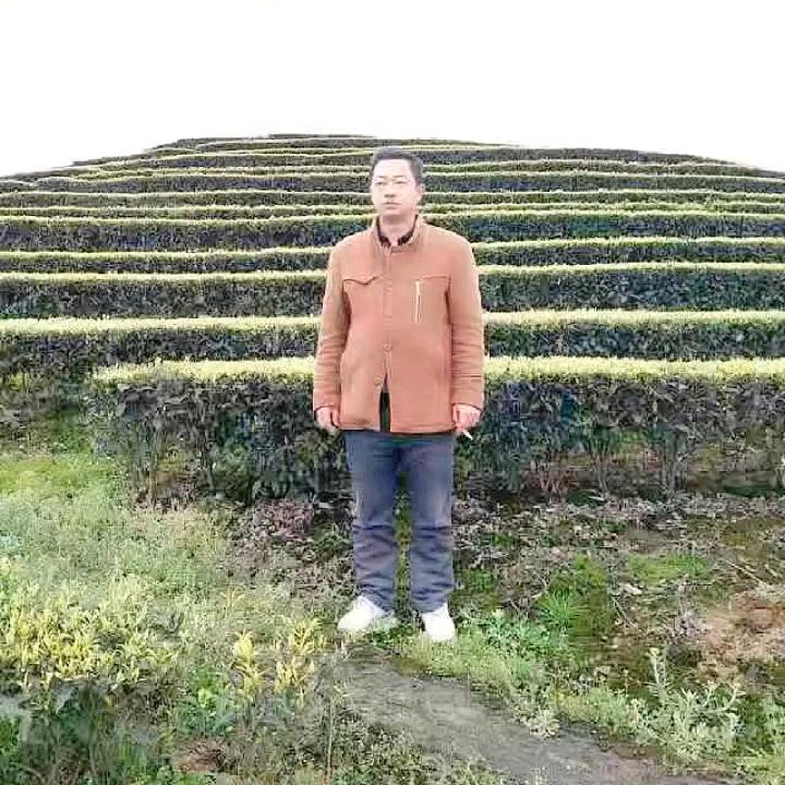 没得皮气-有点个性