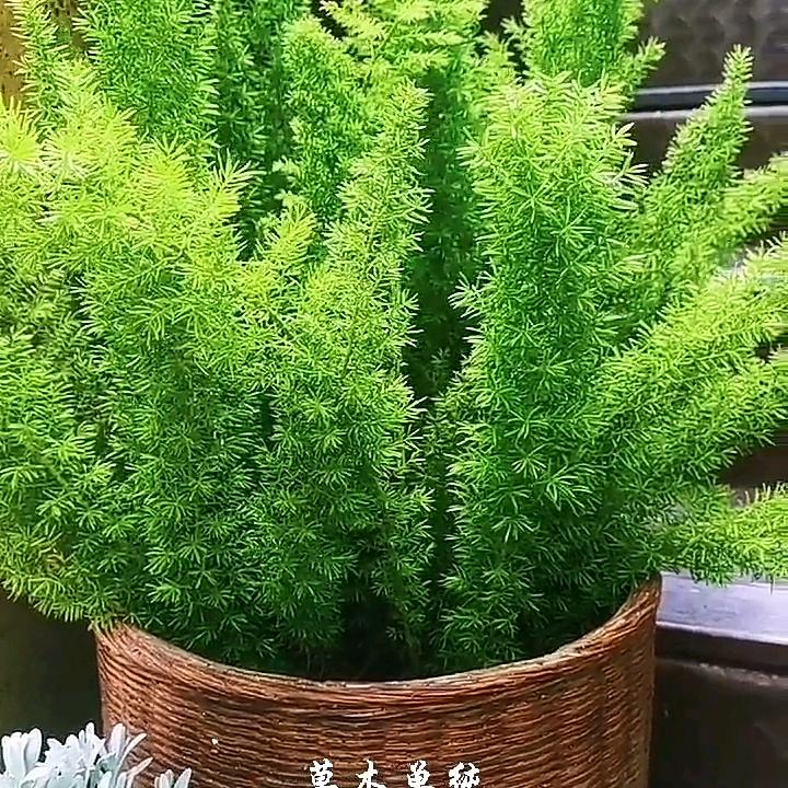 💪平平淡淡🔥（拒绝合拍）