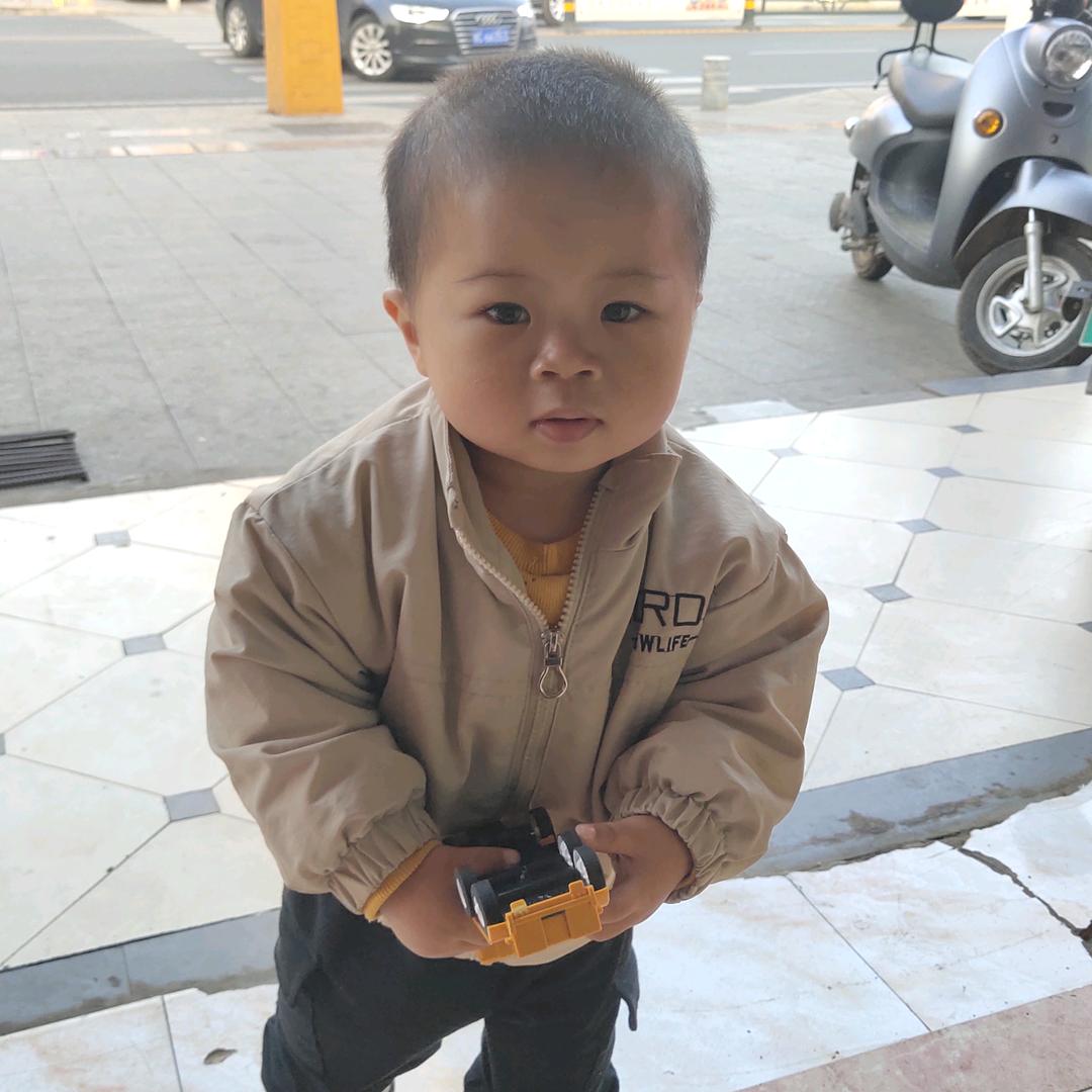 猪年大吉