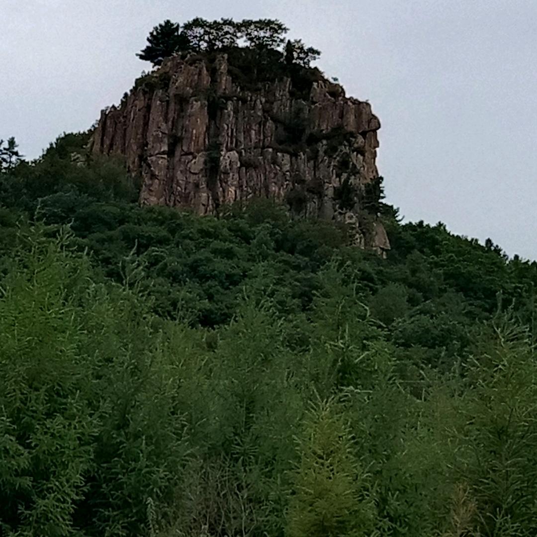 李成果
