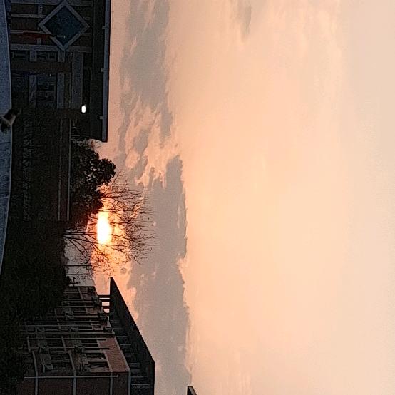 闲的