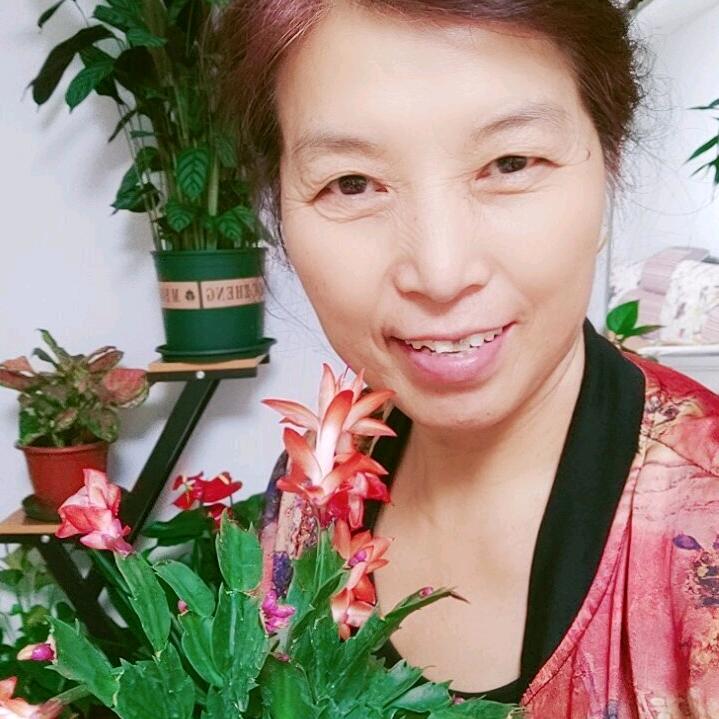 兰姐花卉园艺
