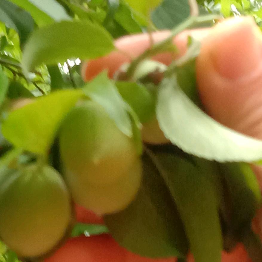 永远开心每一天