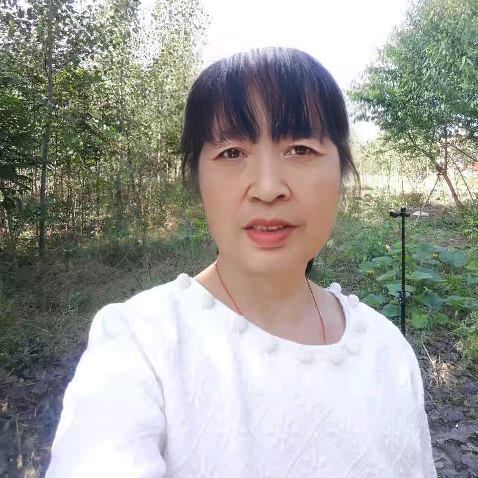 河南云姐上午8点40直播