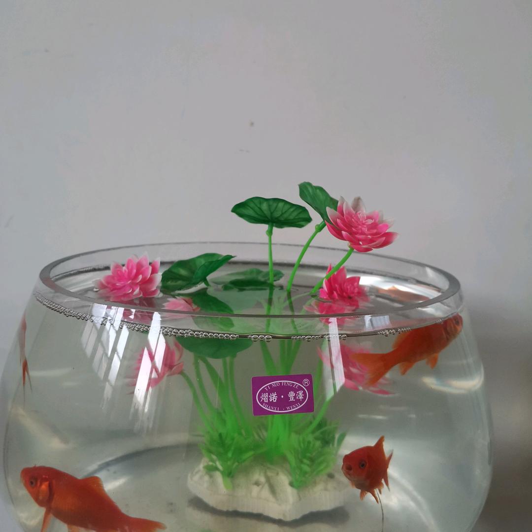 陈五