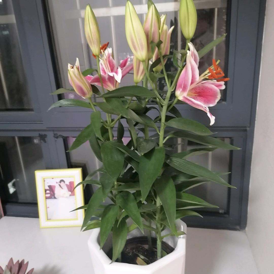 往事随风去（拒绝私…）