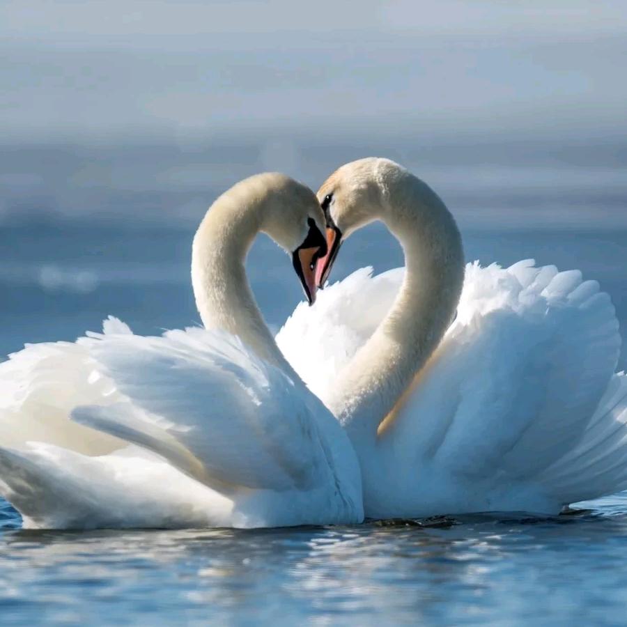 樟树市锦都商务宾馆