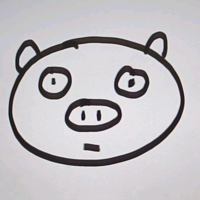 我就带了一个枕巾