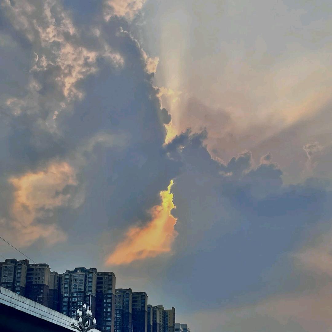 浅念丶
