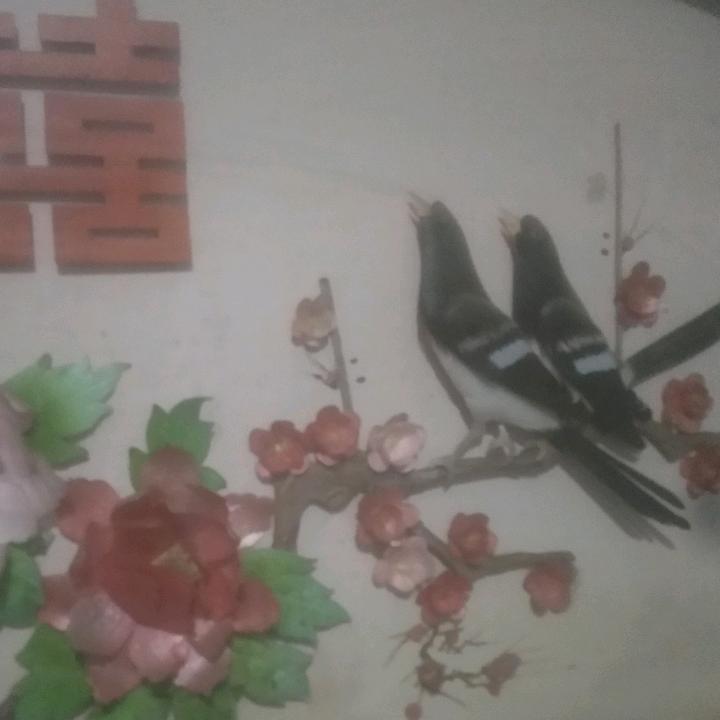 兆伟