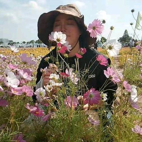 小菜一碟