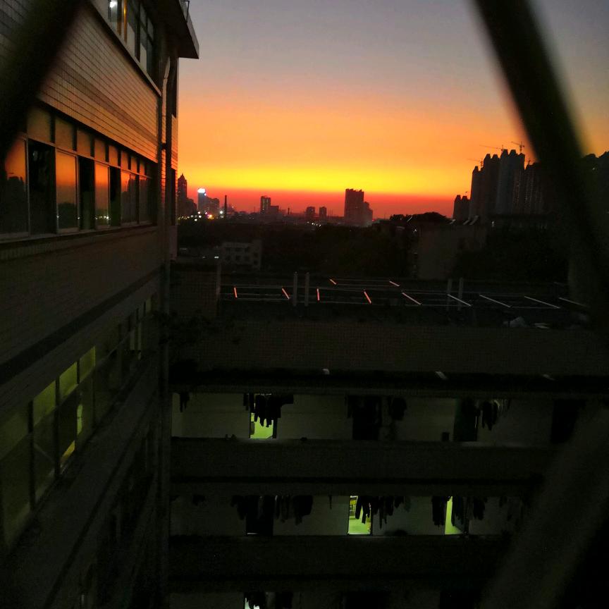 染月