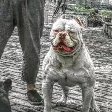 临武三郎