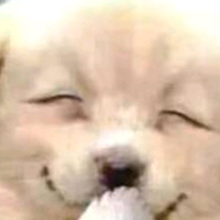 趐膀