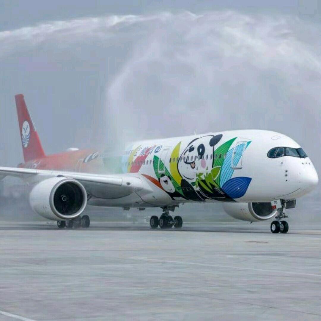 航空模拟器2021