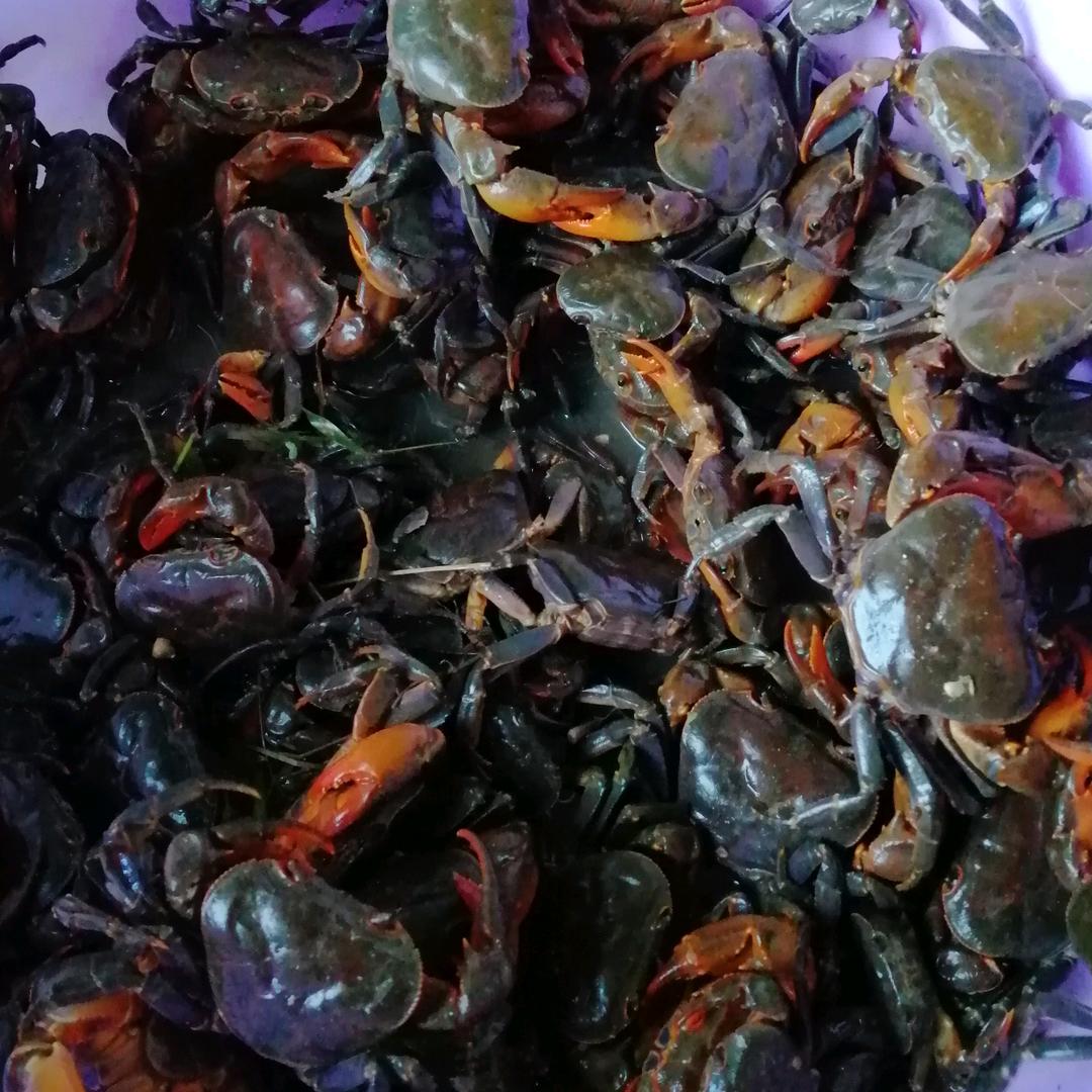 开心每一天