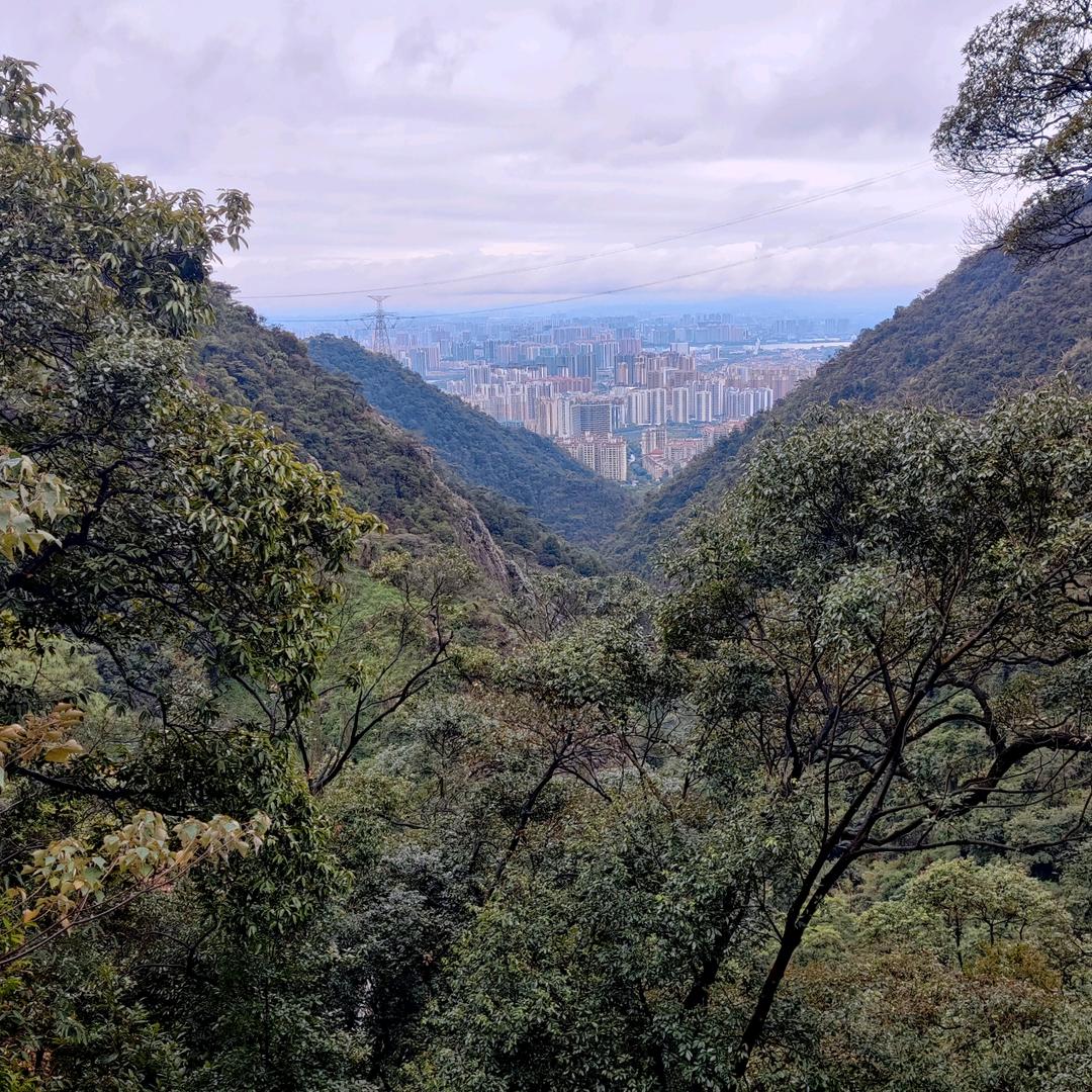 💖森💝想事成💞