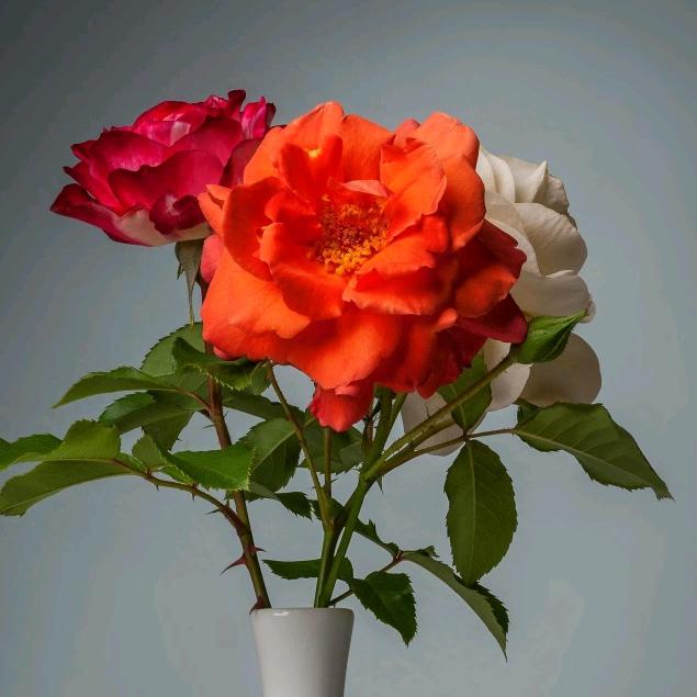小明